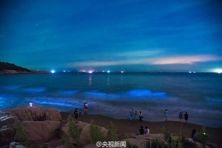 奥利维亚药店